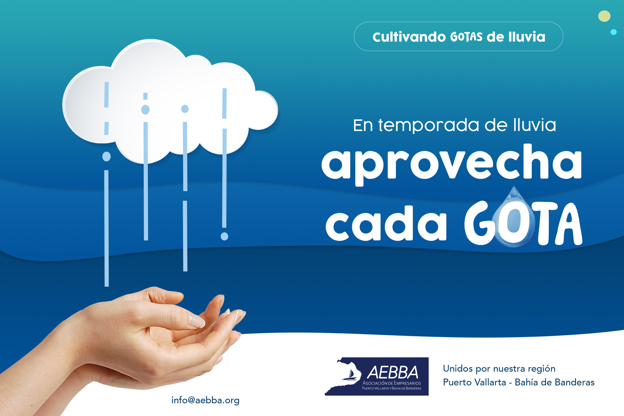 cultivando gotas de lluvia agua